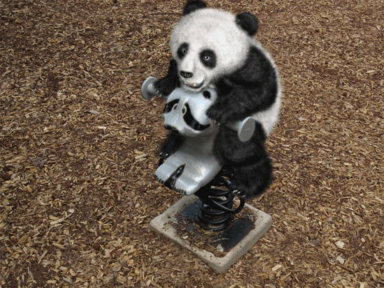 Animated GIFs