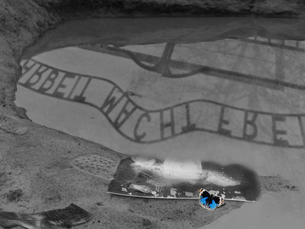 Fading - Never Forget