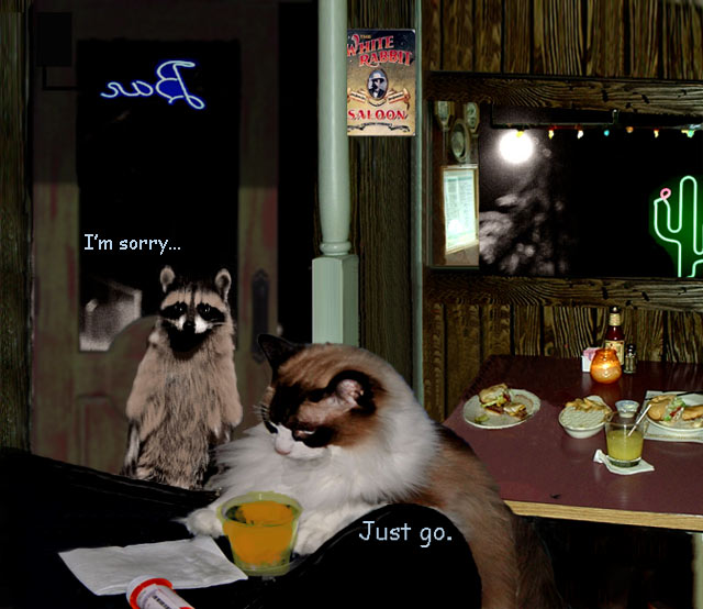 Raccoon - The Breakup