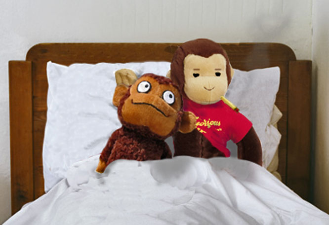 Monkey - Curious No More